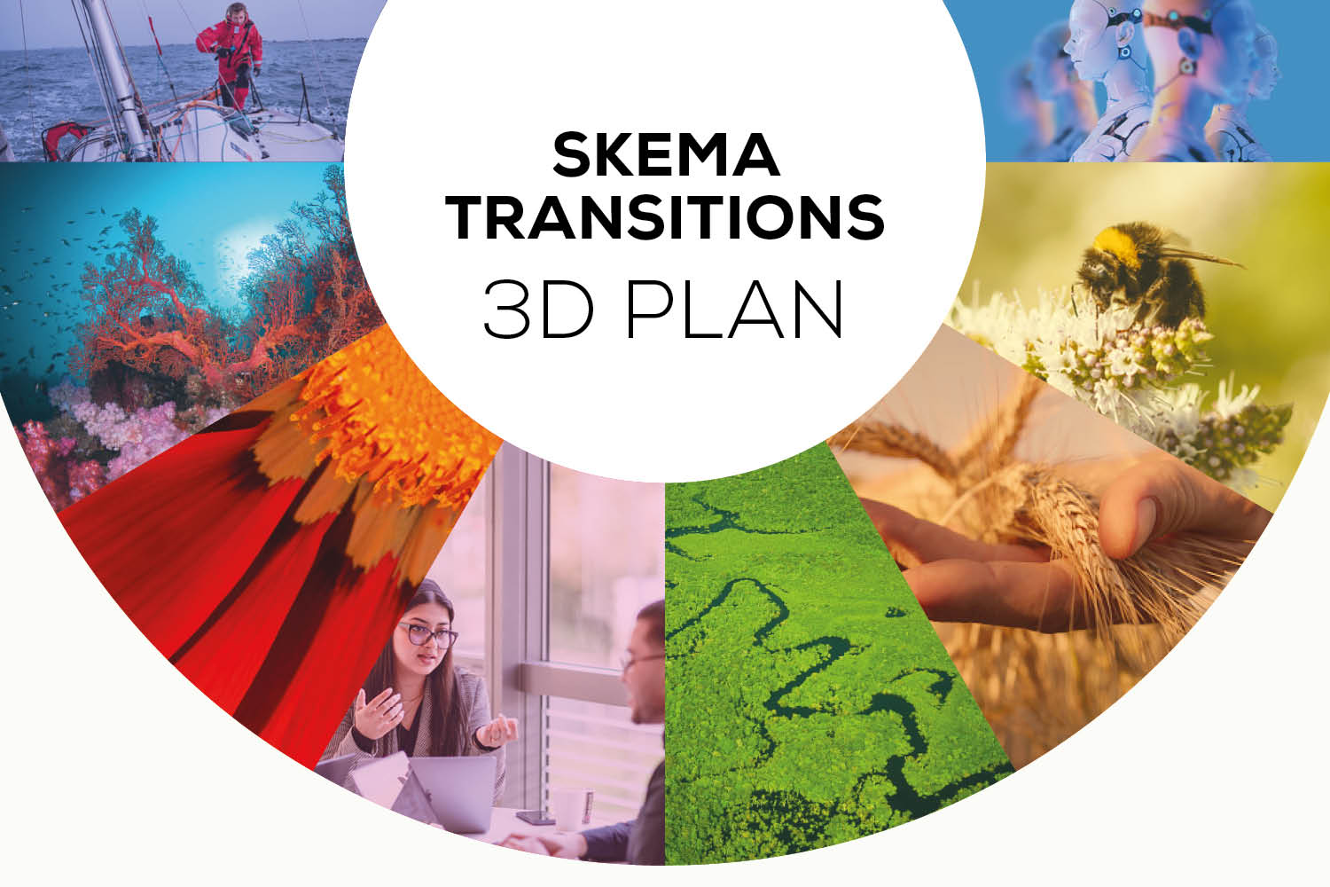 SKEMA TRANSITIONS 3D PLAN